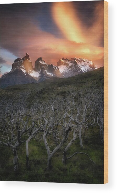 Paine Massif Wood Print featuring the photograph Fire in the Sky by Nicki Frates