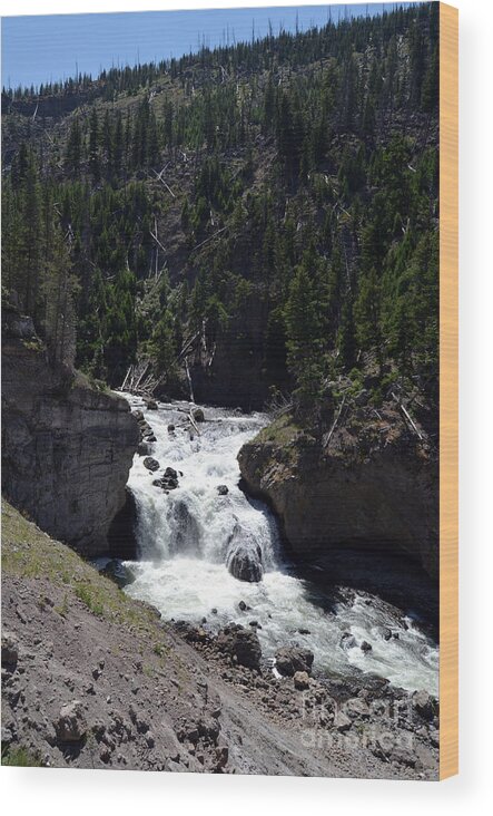 Yellowstone Wood Print featuring the photograph Firehole Falls Landscape Firehole River in Yellowstone National Park by Shawn O'Brien