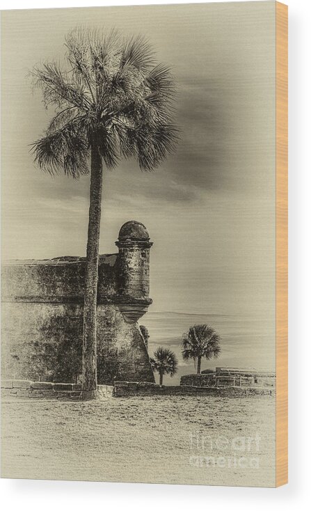 Fort Wood Print featuring the photograph First Watch- sepia by Marvin Spates