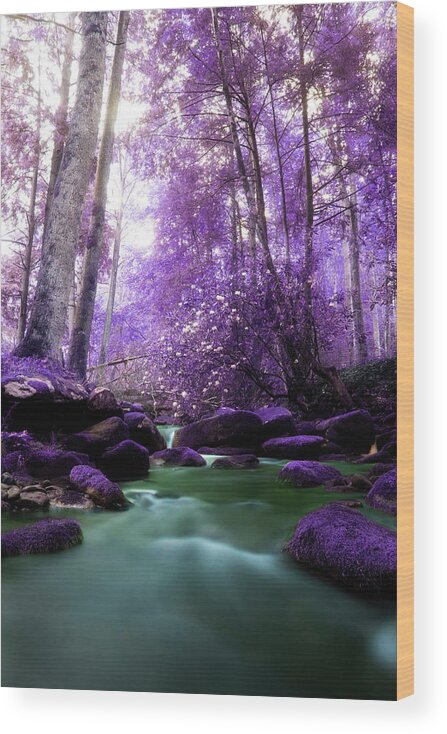 River Wood Print featuring the photograph Flowing Dreams by Mike Eingle