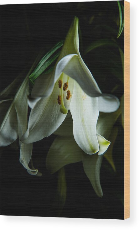 Blooming Wood Print featuring the photograph Flowing White lily by Dennis Dame