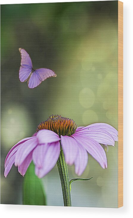 Flower Wood Print featuring the photograph Flutterby by Cathy Kovarik