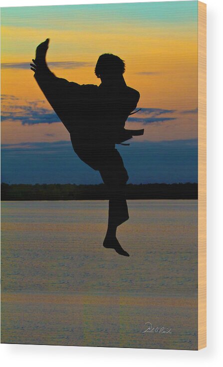 Photography Wood Print featuring the photograph Flying Over Muskegon Lake by Frederic A Reinecke