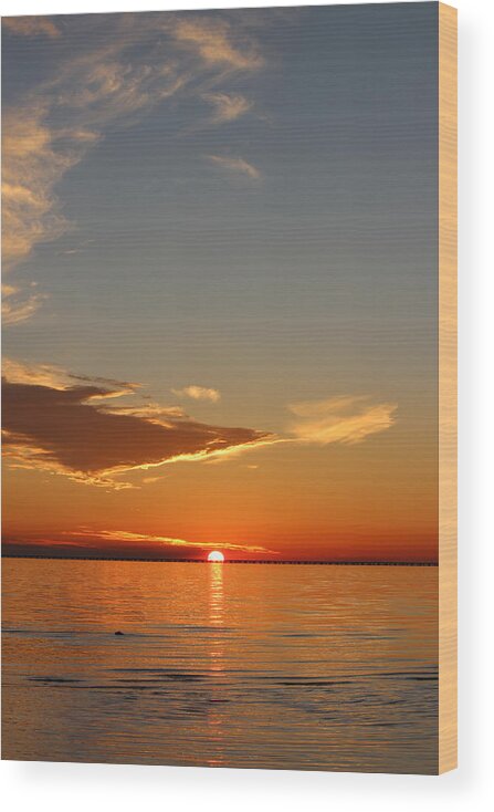 Sun Wood Print featuring the photograph Fontainebleau State Park - 4 by Beth Vincent