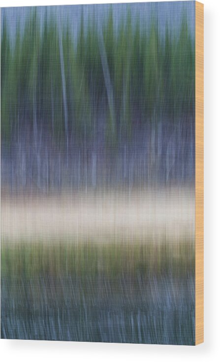 Impressionism Wood Print featuring the photograph Forest Meets Lake by Deborah Hughes
