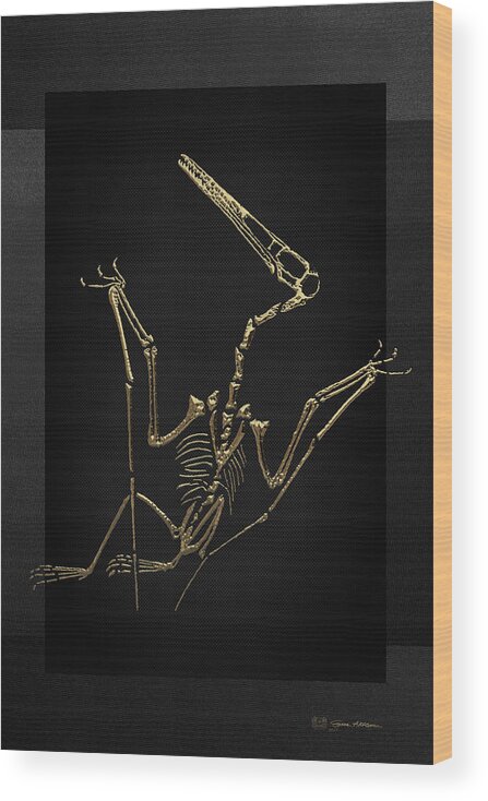 'fossil Record' Collection By Serge Averbukh Wood Print featuring the digital art Fossil Record - Gold Pterodactyl Fossil on Black Canvas #4 by Serge Averbukh