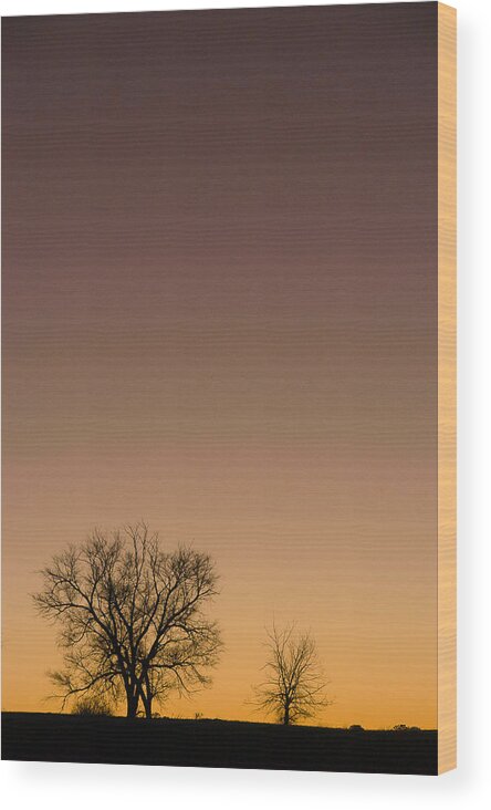 Fine Art Wood Print featuring the photograph Friends Awaiting Sunrise by Monte Stevens