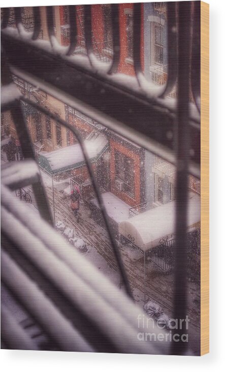 Winter In New York Wood Print featuring the photograph From My Window - Braving the Snow by Miriam Danar