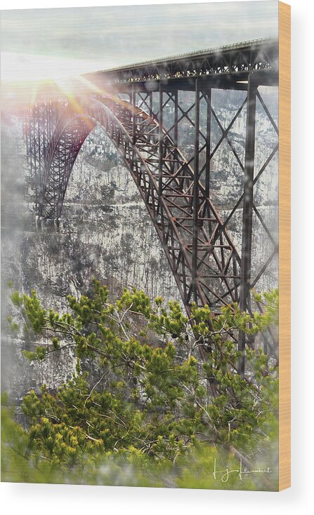Privacy Wood Print featuring the photograph Frosty Gorge Bridge by Lisa Lambert-Shank