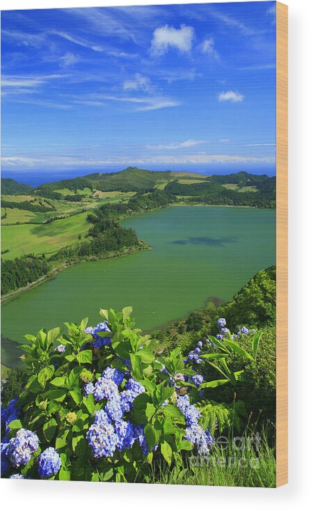 Azores Wood Print featuring the photograph Furnas Lake by Gaspar Avila