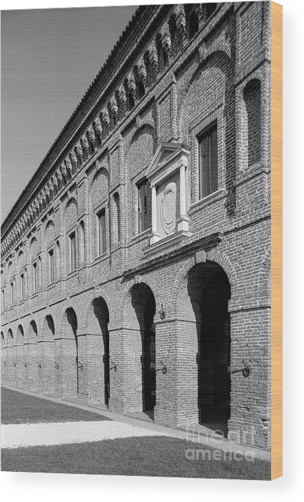 Galleria Degli Antichi Wood Print featuring the photograph Galleria degli Antichi by Riccardo Mottola