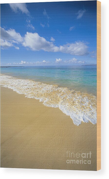 Afternoon Wood Print featuring the photograph Gentle Waves Rolling by Carl Shaneff - Printscapes