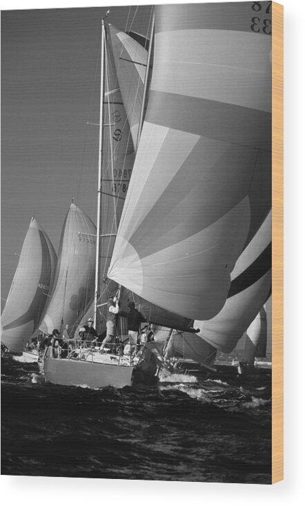 Sail. Sailing Wood Print featuring the photograph Getting Ready to Round the ark by David Shuler