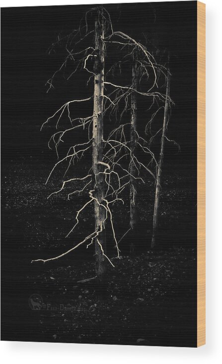 Trees Wood Print featuring the photograph Ghost Trees by Fred Denner
