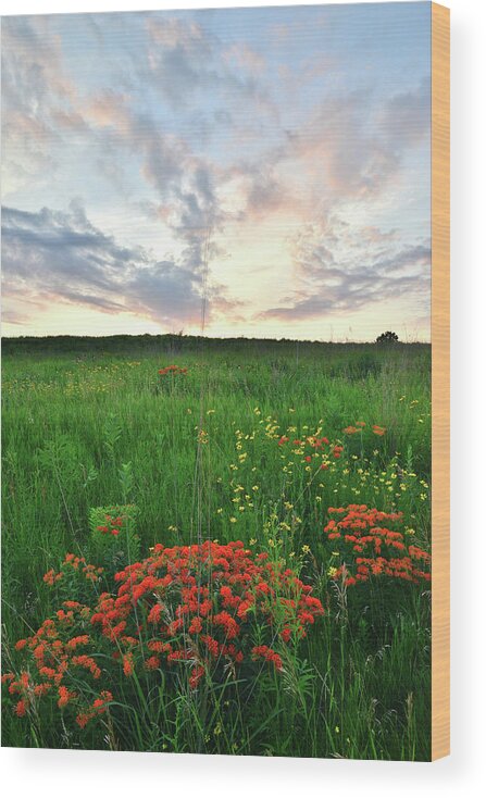 Illinois Wood Print featuring the photograph Glacial Park Sunset by Ray Mathis