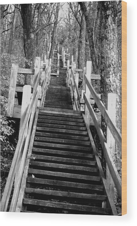 Stairs Wood Print featuring the photograph Going Up by JamieLynn Warber