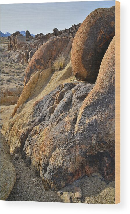 Alabama Hills Wood Print featuring the photograph Golden Boulders in Alabama Hills by Ray Mathis