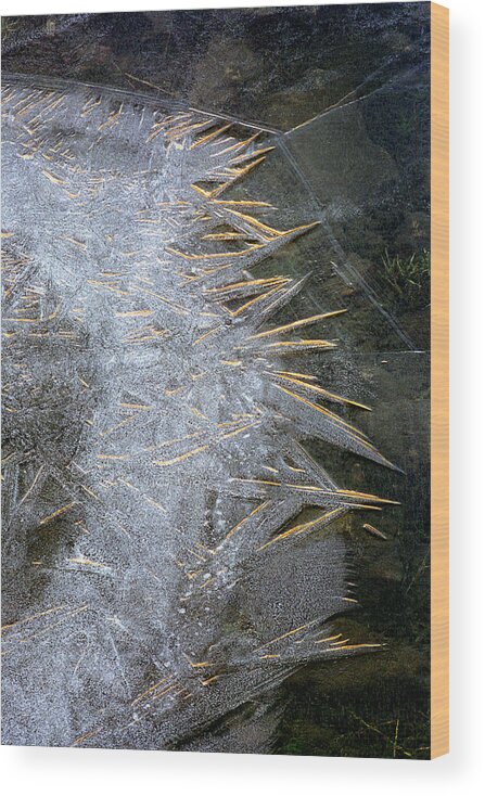Abstract Wood Print featuring the photograph Golden Ice by Peter OReilly
