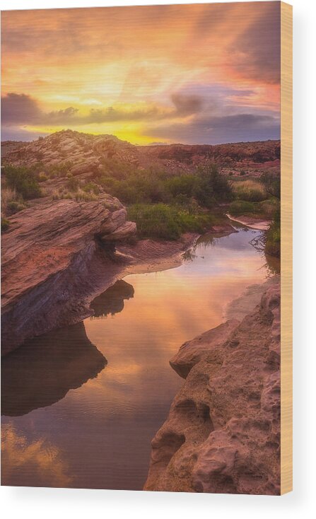 Sunset Wood Print featuring the photograph Golden Light in Moab by Darren White