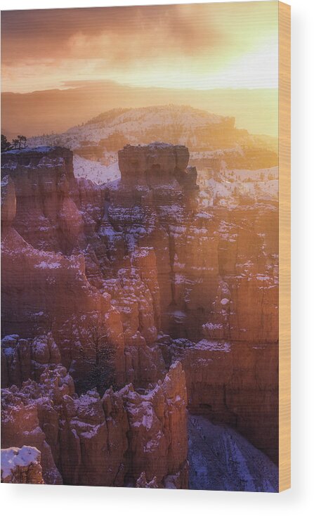 Bryce Wood Print featuring the photograph Golden Moment by Nicki Frates