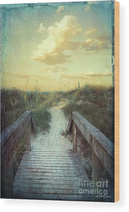 Beach Wood Print featuring the photograph Golden Pathway by Linda Olsen