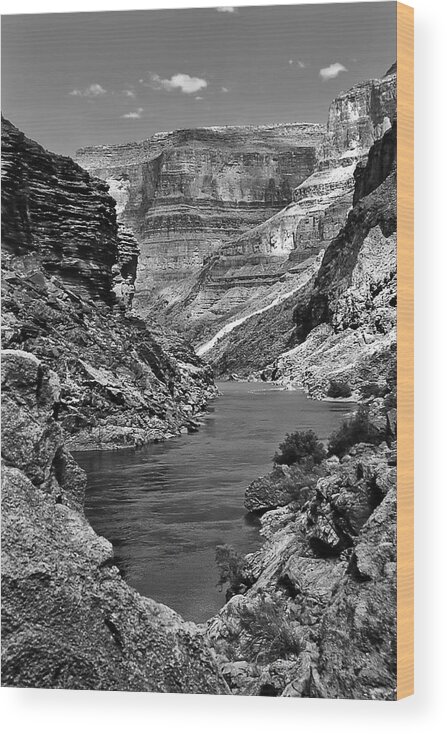 Southwest U.s.a. Wood Print featuring the photograph Grand Canyon Vista by Alan Toepfer
