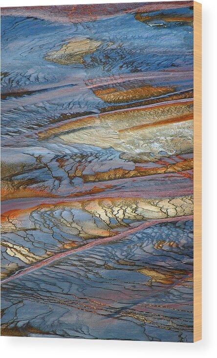 Grand Prismatic Wood Print featuring the photograph Grand Prismatic Runoff by Bruce Gourley