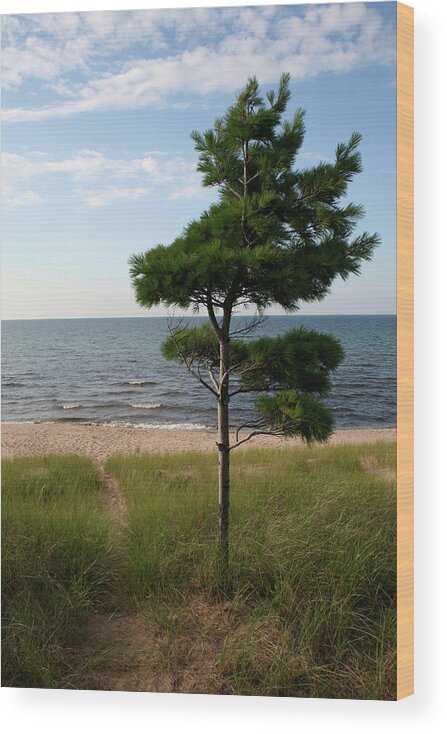 Greetings To The Beach Wood Print featuring the photograph Greetings to the Beach by Dylan Punke