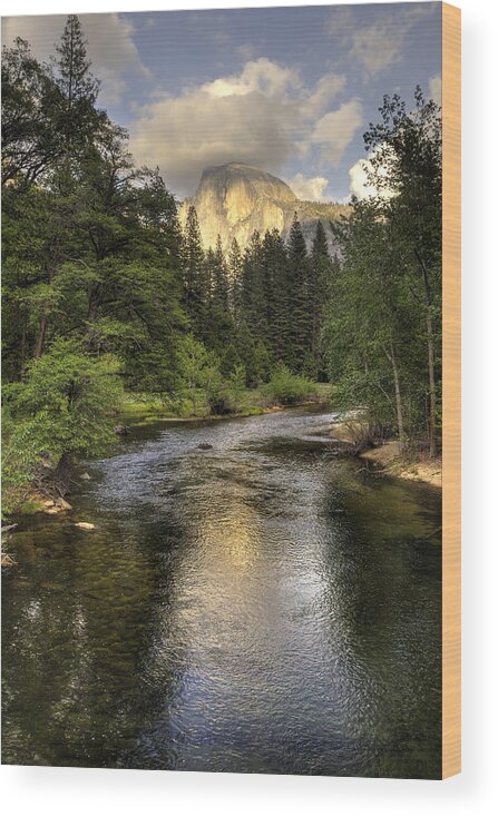 Yosemite Wood Print featuring the photograph Half Dome Reflection by Harold Rau