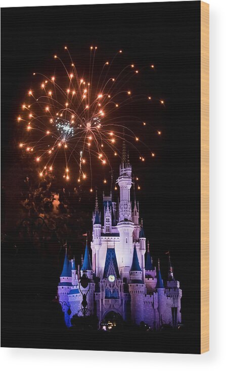 Disney Wood Print featuring the photograph Happily Ever After by Sara Frank