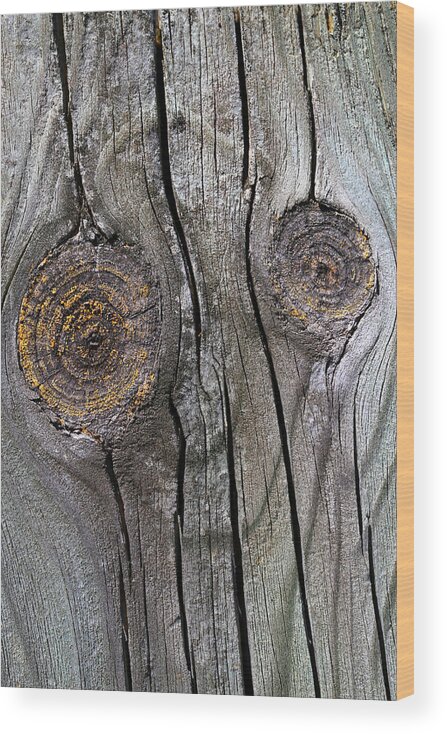 Wood Wood Print featuring the photograph Happy Face by Mary Bedy