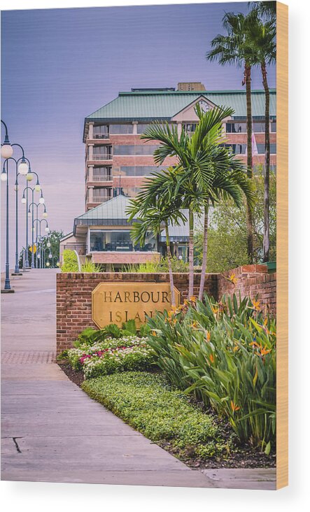 Harbour Island Wood Print featuring the photograph Harbour Island Retreat by Carolyn Marshall
