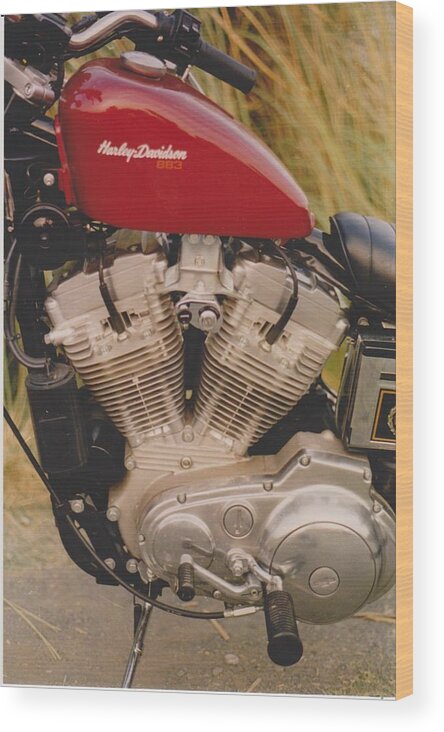 Motorcycle Wood Print featuring the photograph Harley Davidson by Mia Alexander