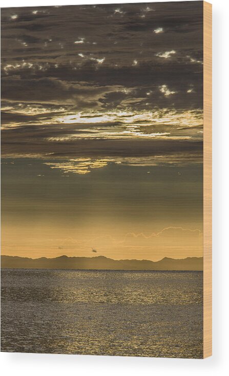 New Zealand Wood Print featuring the photograph Hauraki Gulf at Sunrise by Steven Schwartzman
