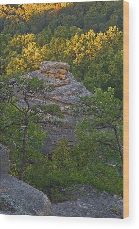 Red River Gorge Wood Print featuring the photograph Hay stack rock. by Ulrich Burkhalter