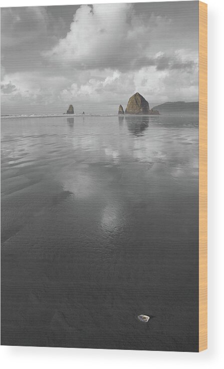 Haystack Shell Wood Print featuring the photograph Haystack Shell by Dylan Punke