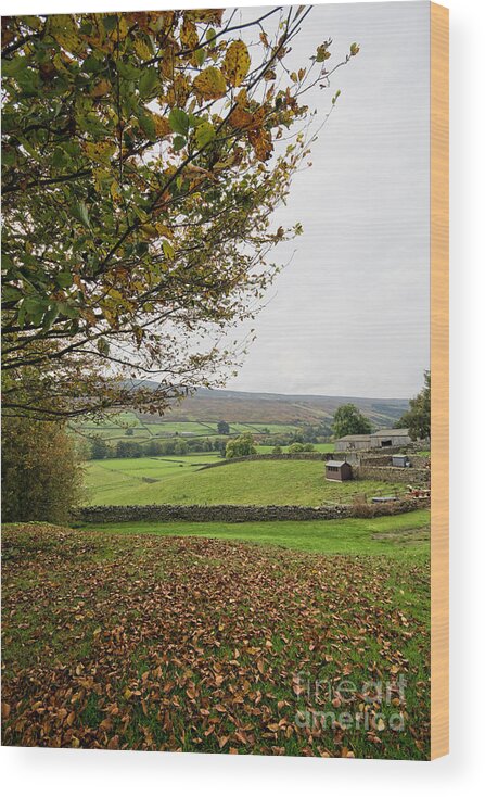 Healaugh Swaledale Wood Print featuring the photograph Healaugh, Swaledale by Smart Aviation