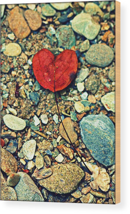 Heart Wood Print featuring the photograph Heart on the Rocks by Susie Weaver