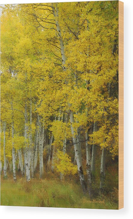 Birch Trees Wood Print featuring the photograph Heavenly Light by Donna Blackhall