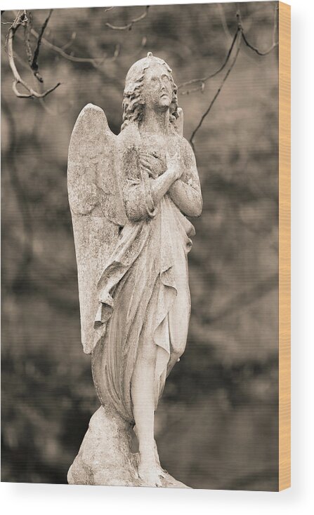 Heavenly Love Wood Print featuring the photograph Heavenly Love by Dale Kincaid