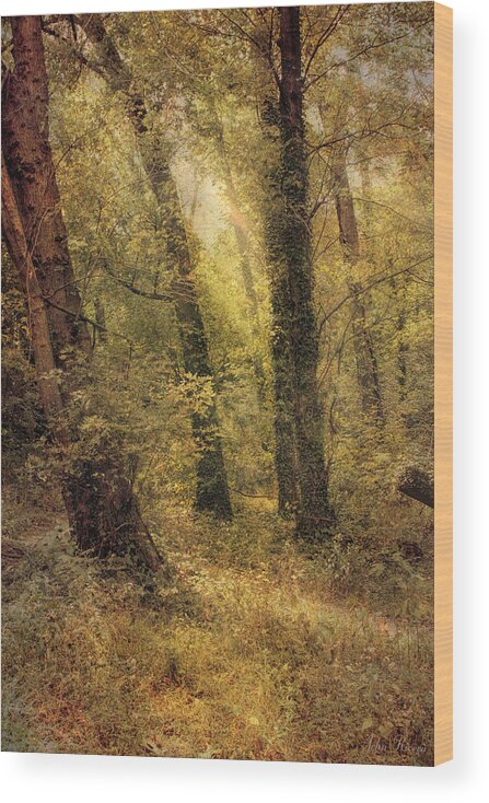 Trees Wood Print featuring the photograph Heaven's Glimmer by John Rivera
