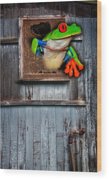 Frog Wood Print featuring the photograph Hello World by Harry Spitz