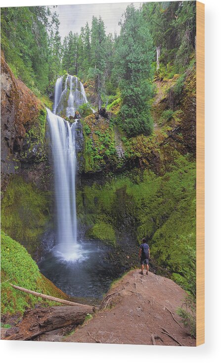 Falls Creek Falls Wood Print featuring the photograph Hiking to Falls Creek Falls by David Gn