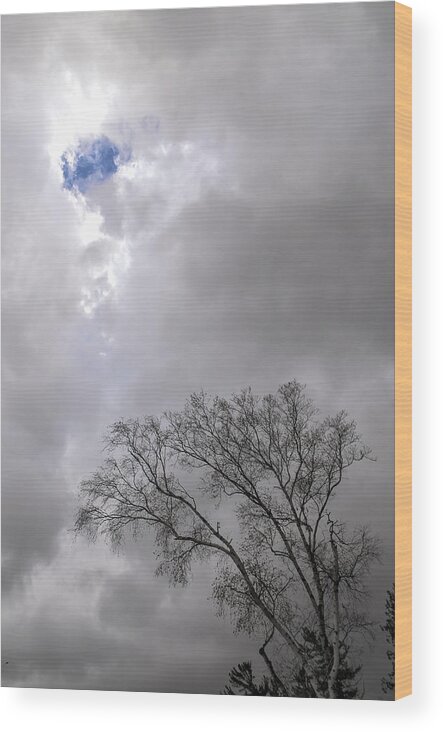 Birch Wood Print featuring the photograph Hole In The Sky by Steve L'Italien