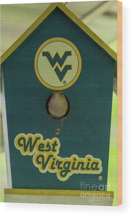 West Virginia Wood Print featuring the photograph Home sweet home by Dan Friend