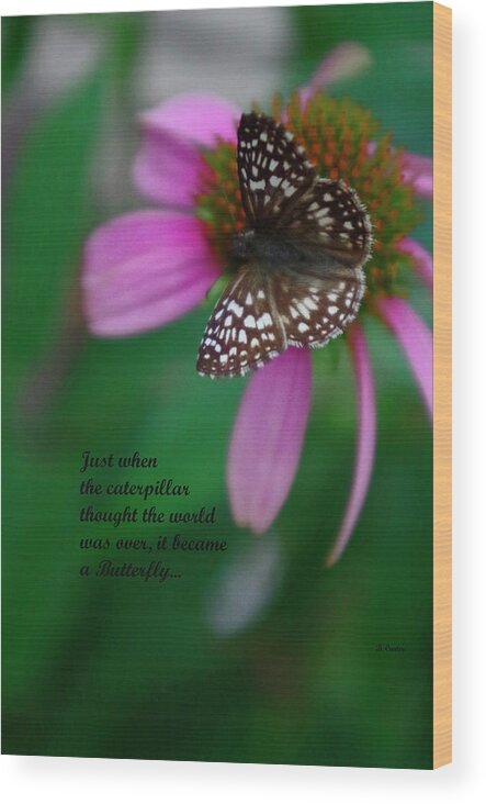 Butterfly Wood Print featuring the photograph  Hope by Bess Carter
