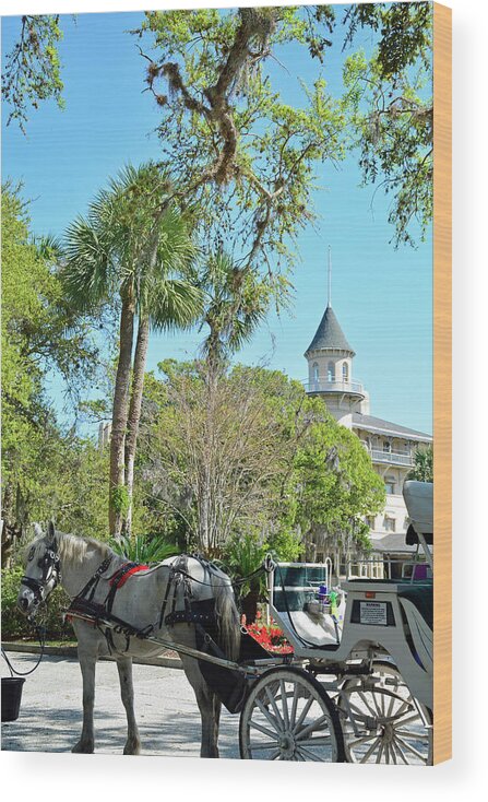 Jekyll Island Wood Print featuring the photograph Horse and Carriage at Jekyll Island Club Hotel by Bruce Gourley