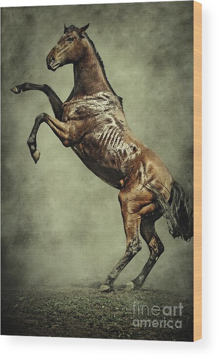 Horse Wood Print featuring the digital art Horse rearing up on dust background by Dimitar Hristov