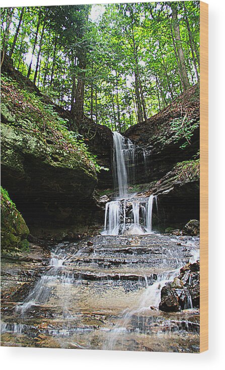 Horseshoe Falls Wood Print featuring the photograph Horseshoe Falls #6736 by Mark J Seefeldt