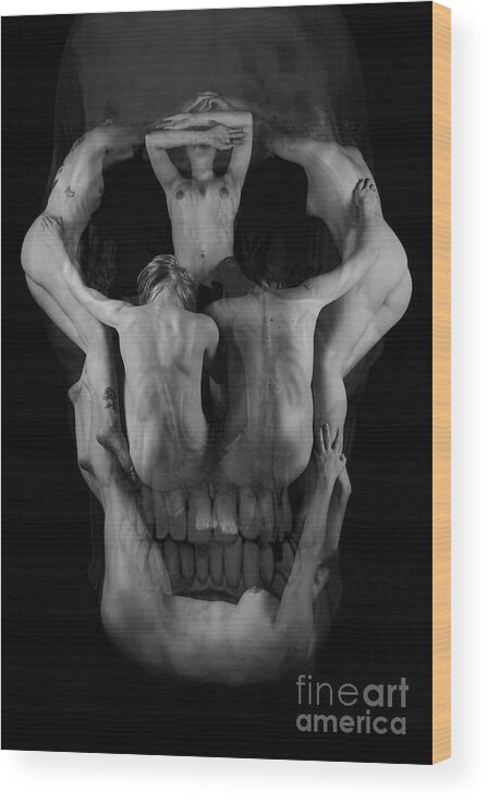 Artistic Photographs Wood Print featuring the photograph Human skull by Robert WK Clark